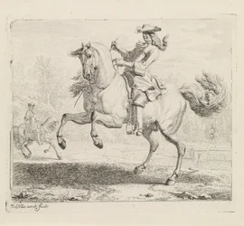 Steigendes Pferd mit Reiter