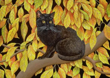 Herbstblätter, 1994
