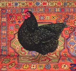 Schwarzes Teppichhuhn, 1995