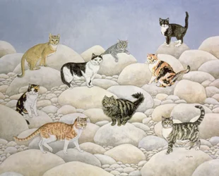 Lynn Valley Katzen