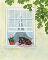 Pams Katze