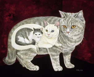 Russische Katze