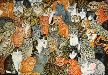 Die Eulen und die Katzen