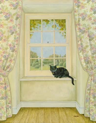 Die Fensterkatze