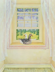Fenstergänse