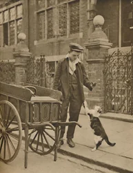 Eines der bestetablierten Gewerbe: Ein Kunde und der Katzenfleischmann, ca. 1935