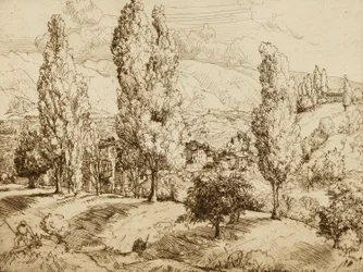 Felder von Asolo