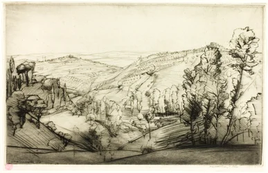 Felder von San Gimignano