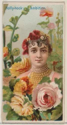 Stockrose: Ehrgeiz, aus der Serie Blumenpracht und Sprache der Blumen