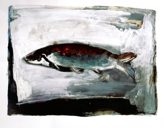 Dunkler Wasserfisch