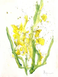 Helle gelbe Blüten