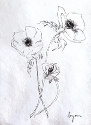 Zarte Blumenskizze