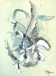 Zarte Orchideenskizze