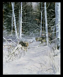 Wölfe in einem verschneiten Wald