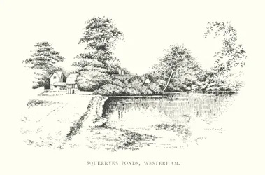 Squerryes Teiche, Westerham