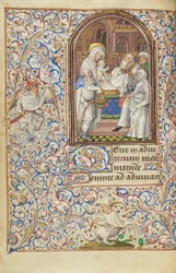 Die Darstellung im Tempel