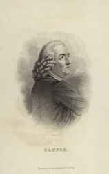 Petrus Camper