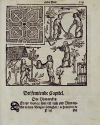 Bäume pflanzen, aus Der niederländische Gärtner von Johann van der Groen, veröffentlicht 1699