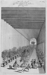 Das Treibhaus, aus De Nederlandze Hesperides von Jan Commelin, veröffentlicht 1676