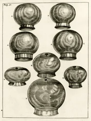 Verschiedene Schröpfgläser, aus Exercitationes Practicae circa Medendi Methodum von Frederik Dekkers, 1694