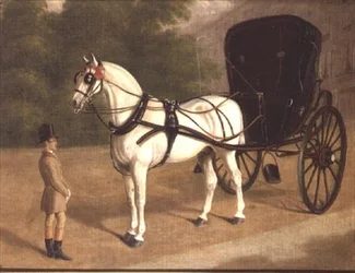 Ein graues Pferd und Cabriolet mit Kutscher