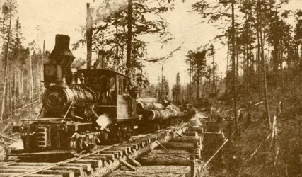 Eine Holzfällerbahn, British Columbia, 1930