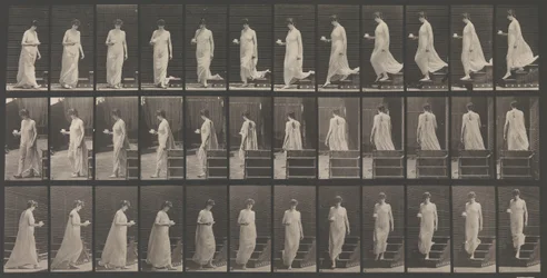 Tierlokomotion. Eine elektro-fotografische Untersuchung... der Tierbewegungen. Beginn...