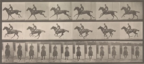 [Pferd und Reiter im Galopp], 1883-86, gedruckt 1887