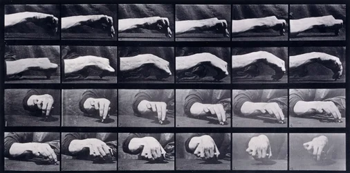 Eine Bewegungsstudie einer Hand, ca. 1872-1885