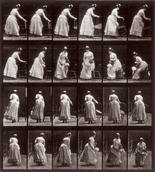 Tierlokomotion, Platte 265: Sequenz mit einer sitzenden Frau, 1887