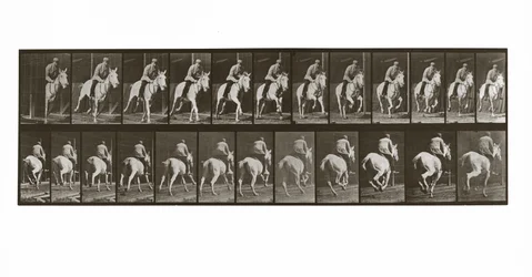 Galoppierendes Pferd mit Reiter, Platte 635 aus Animal Locomotion