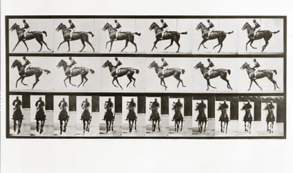 Pferd und Reiter, Platte 621 aus Animal Locomotion