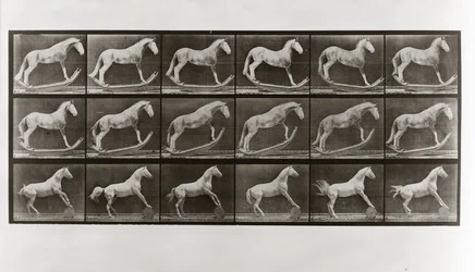 Pferd auf Schaukel und Pferd rollt ein Fass, Platte 649 aus Animal Locomotion