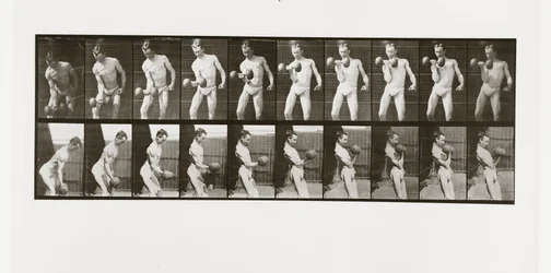 Mann hebt eine Hantel, Tafel 324 aus Animal Locomotion, 1887