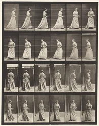 Drehen und Treppensteigen