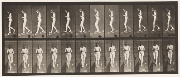 Tafel 115. Abwärtsneigung mit vor der Brust verschränkten Händen