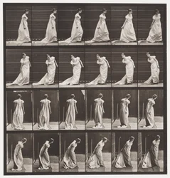 Platte 231. Bücken, um den Zug zu ordnen und Drehen