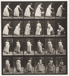 Platte 243. Stuhl platzieren, Sitzen und Fächern