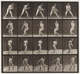 Tafel 288. Baseball; Fehler