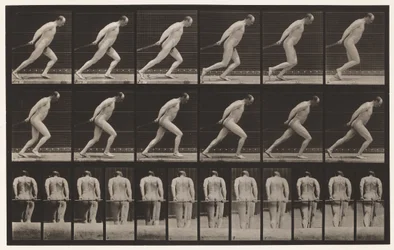 Tafel 392. Einen Gartenroller ziehen, 1872-1885