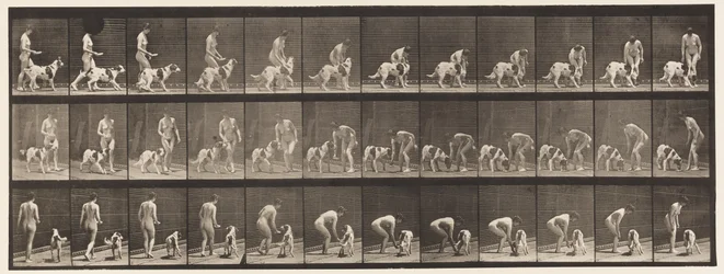 Tafel 449. Einen Hund füttern