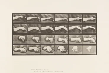 Tafel 532. Bewegung der Hand; einen Kreis zeichnen