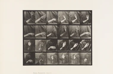 Tafel 535. Bewegung der Hand; Takt schlagen, 1885