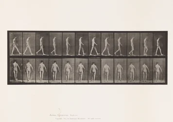 Tafel 546. Lokomotorische Ataxie; Gehen, 1885