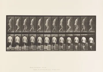 Tafel 558. Paraplegie; Teilweise; Gehen, 1885