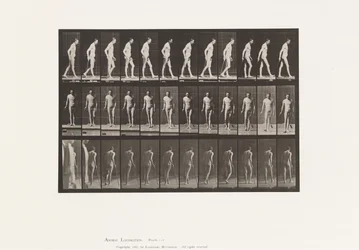 Tafel 559. Verbreitete Sklerose; Gehen mit Stock