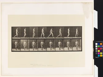 Tafel 5. Gehen