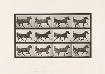 Tafel 606. Trabend; Sulky; Braunes Pferd Reuben