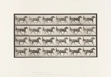 Tafel 609. Trabend; Sulky; Braune Stute Lizzie M.