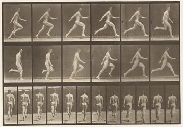 Tafel 64. Laufen in voller Geschwindigkeit